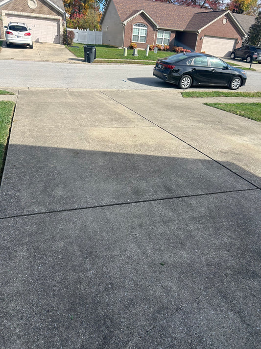 "Drivin Dirty Driveway Cleaning"