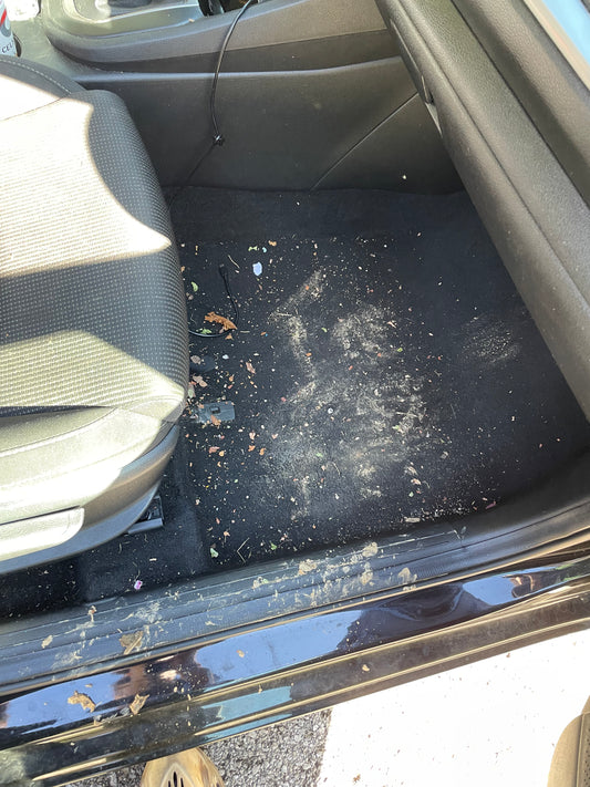 "Drivin Fresh Interior Detail"