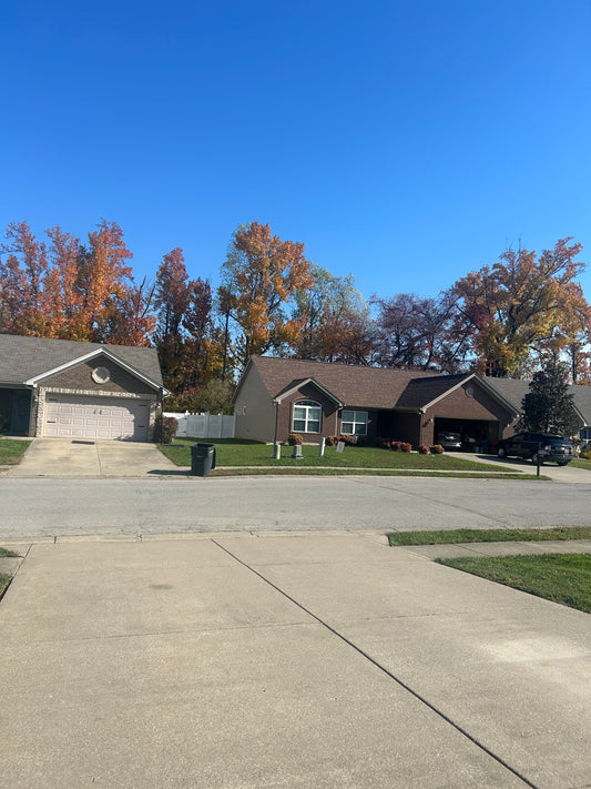 "Drivin Dirty Driveway Cleaning"